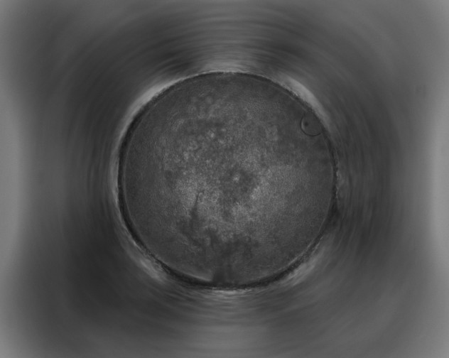 X0000088181035200705221638