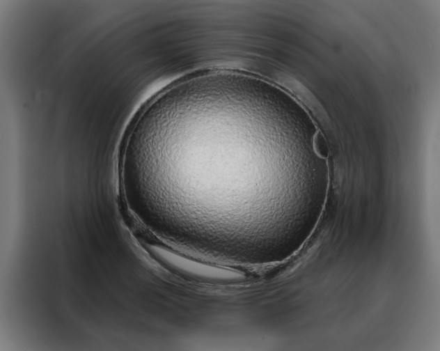 X0000088181036200705221638