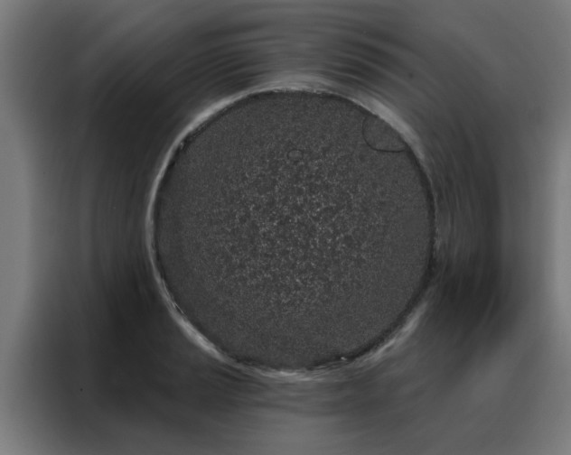 X0000088181037200705221638