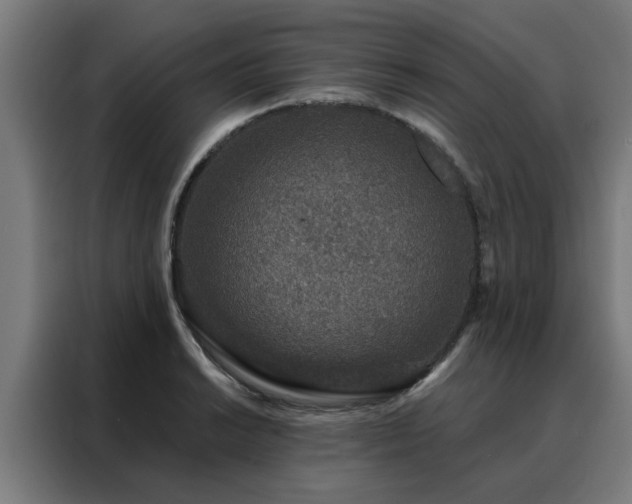 X0000088181038200705221638