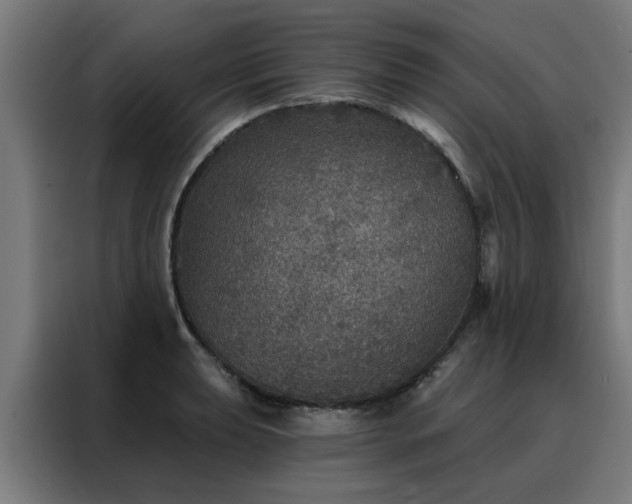 X0000088181039200705221638