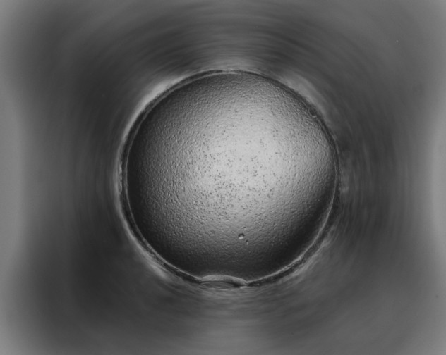X0000088181040200705221638
