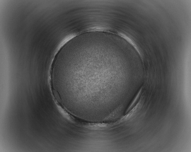X0000088181042200705221638