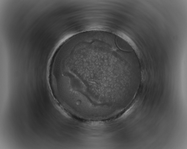 X0000088181043200705221638