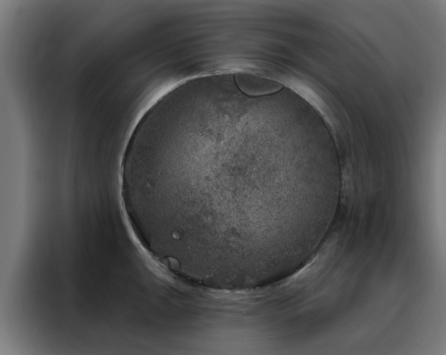 X0000088181047200705221638