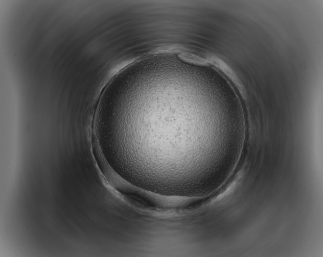 X0000088181049200705221638