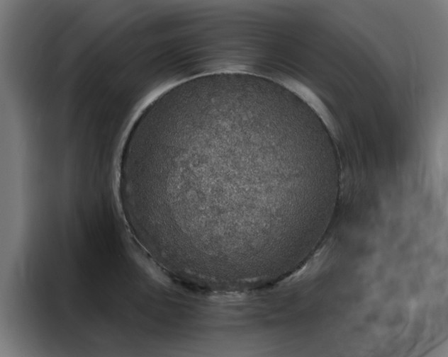 X0000088181051200705221638