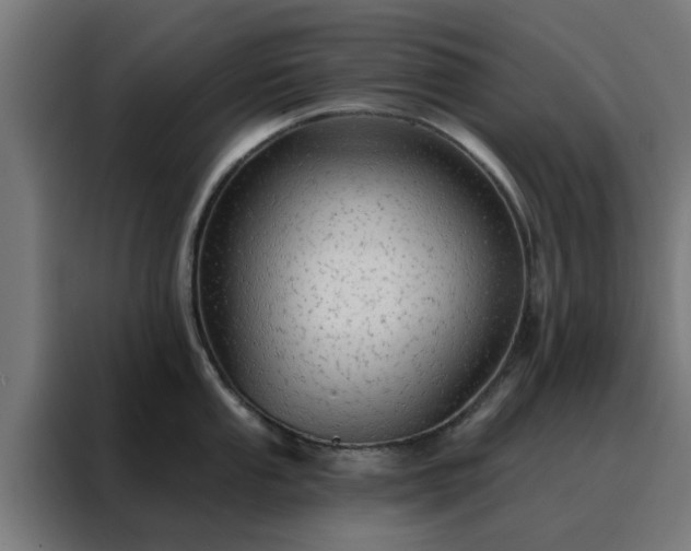 X0000088181053200705221638