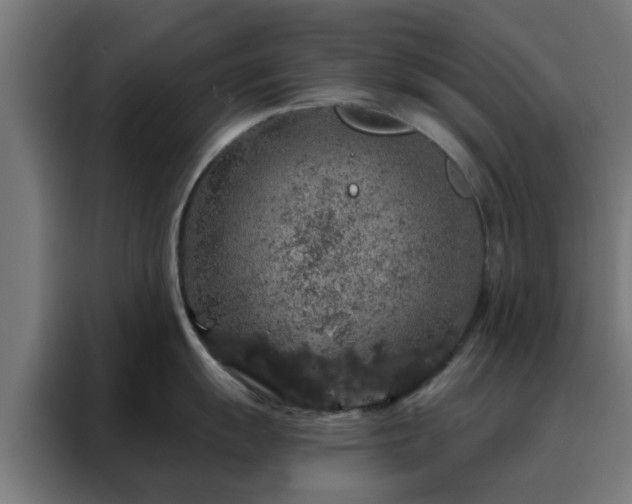 X0000088181055200705221638