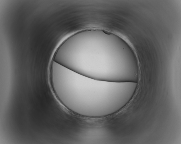 X0000088181056200705221638