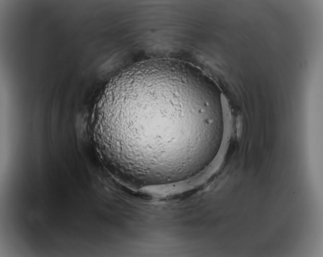 X0000088181059200705221637