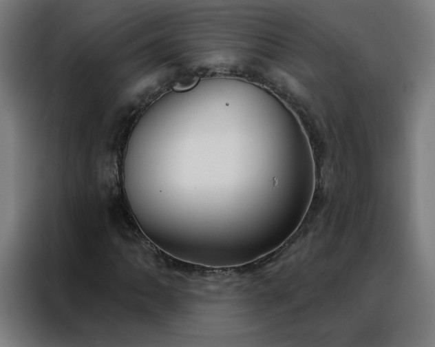 X0000088181062200705221637