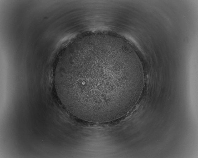 X0000088181063200705221637