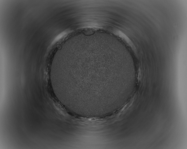 X0000088181064200705221637