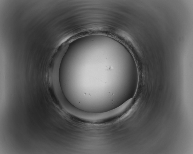 X0000088181065200705221637