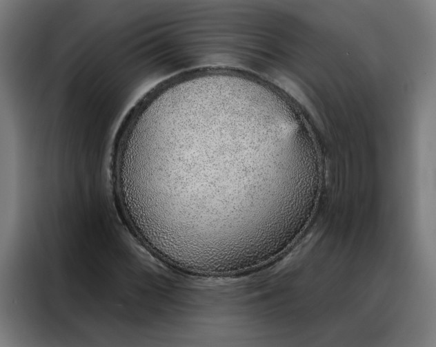 X0000088181068200705221637