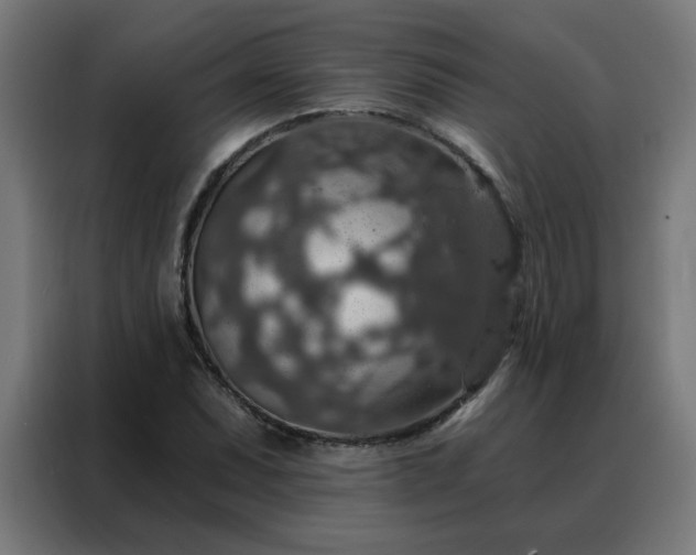 X0000088181071200705221637
