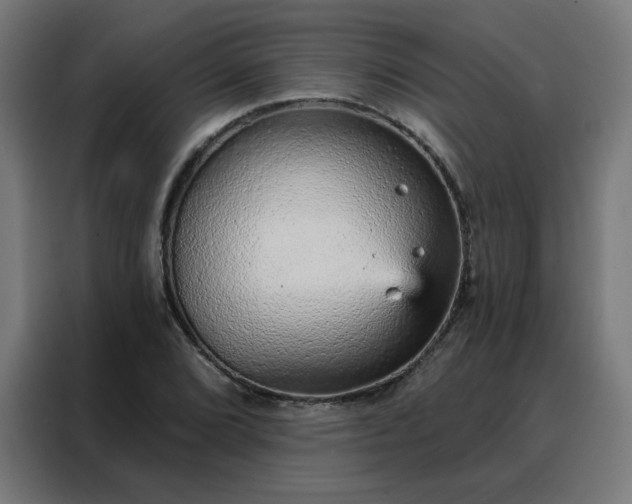 X0000088181072200705221637