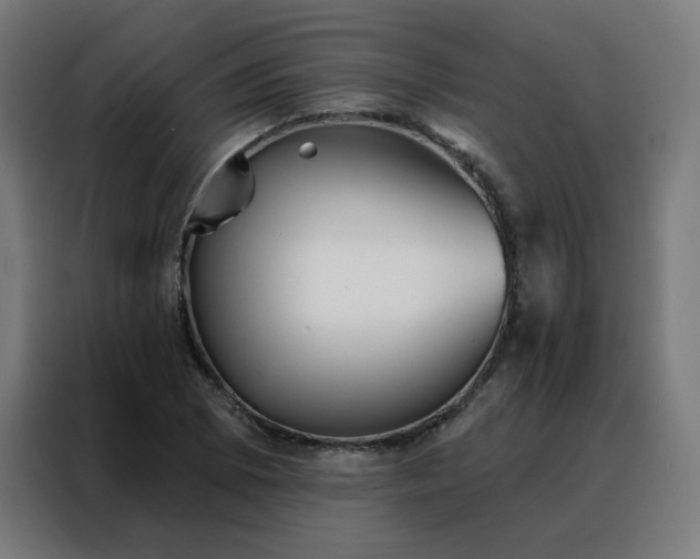 X0000088181073200705221637