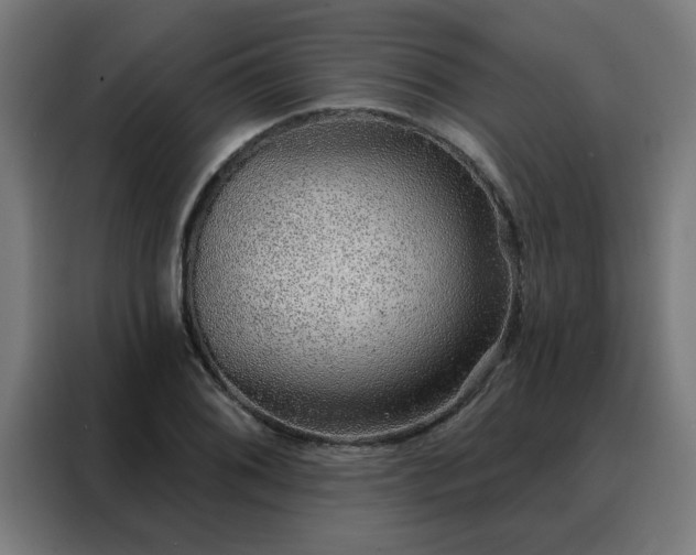 X0000088181076200705221637