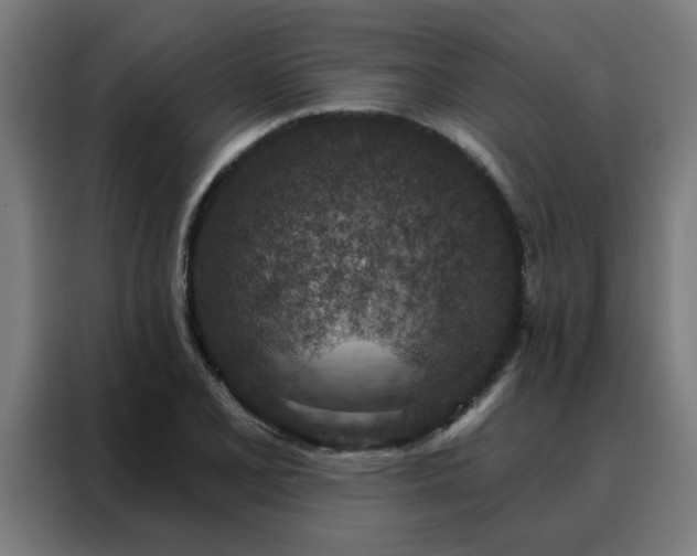 X0000088181077200705221637