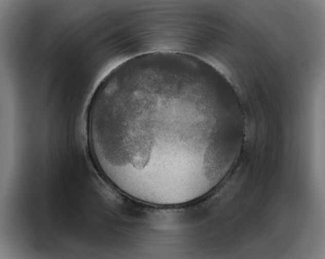 X0000088181078200705221637