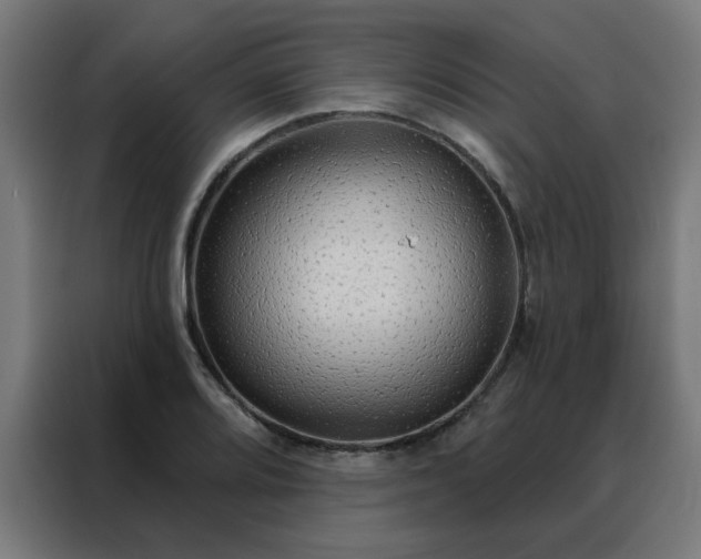 X0000088181080200705221637