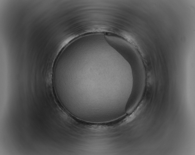 X0000088181081200705221637