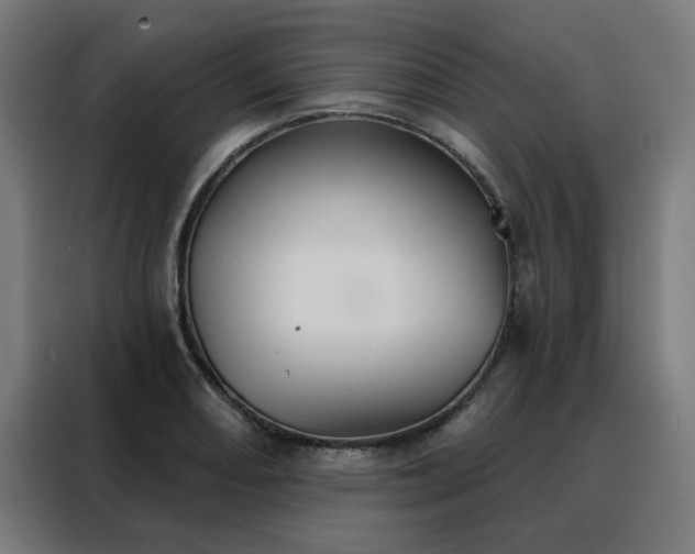 X0000088181082200705221637