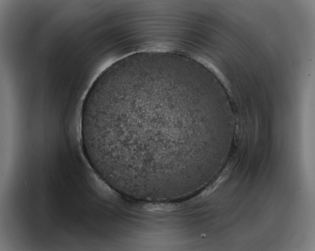 X0000088181083200705221637