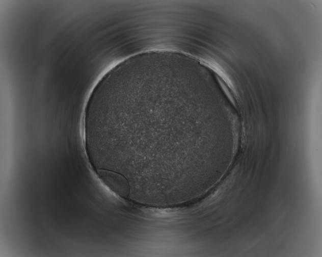 X0000088181084200705221637