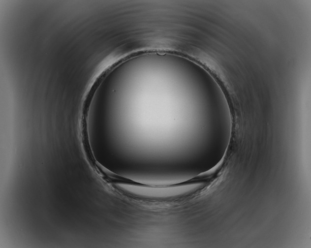 X0000088181085200705221637