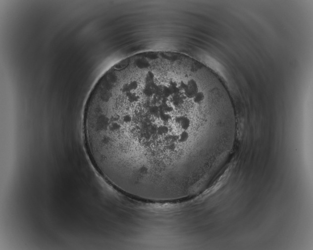 X0000088181087200705221637