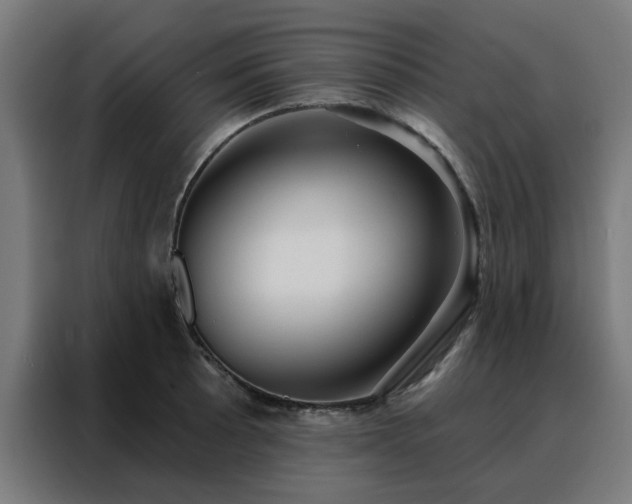 X0000088181089200705221637