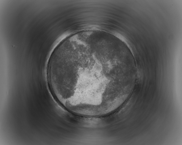 X0000088181090200705221637