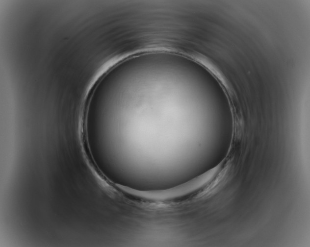 X0000088181101200705221637