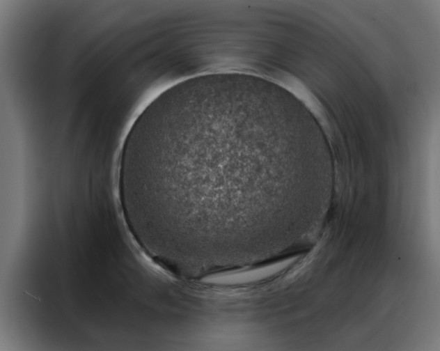X0000088181102200705221637