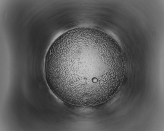 X0000088181103200705221637