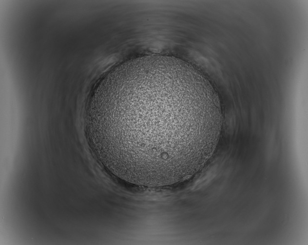 X0000088181105200705221636