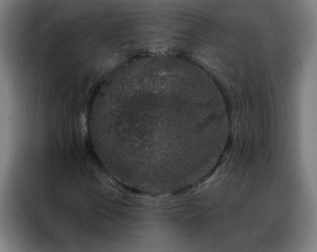 X0000088181106200705221636