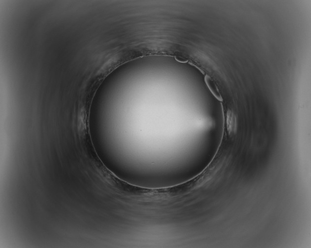 X0000088181107200705221636