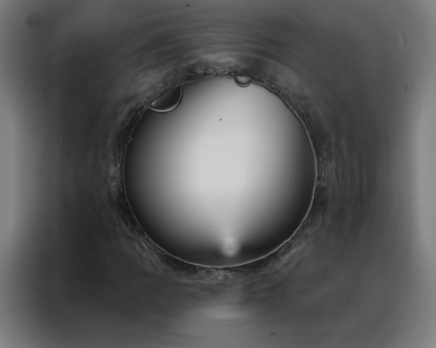 X0000088181109200705221636