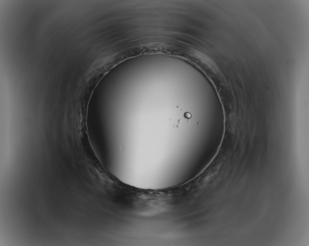 X0000088181111200705221636