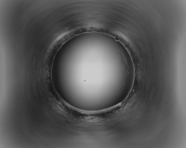 X0000088181112200705221636