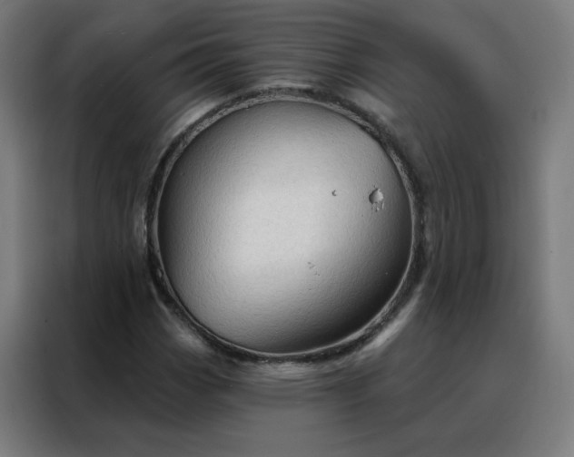X0000088181113200705221636
