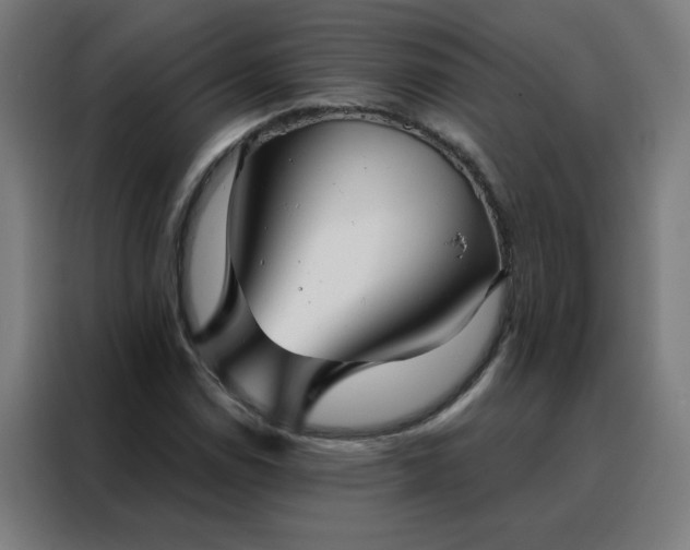 X0000088181114200705221636