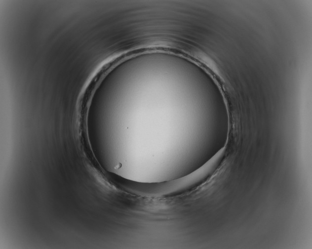 X0000088181116200705221636