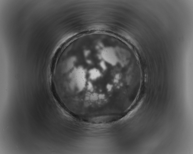 X0000088181117200705221636