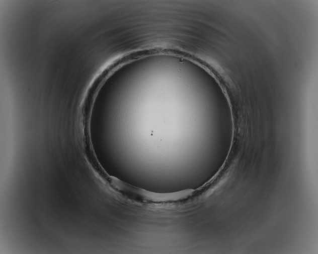X0000088181118200705221636