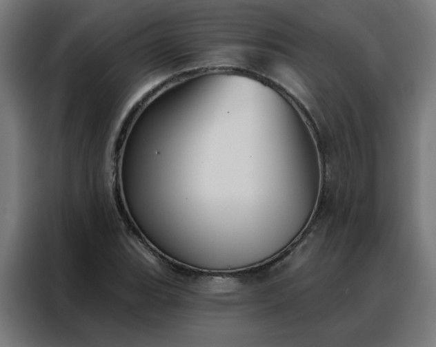 X0000088181119200705221636